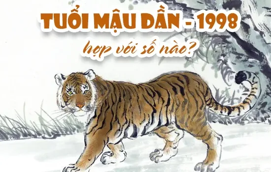 Tuổi Mậu Dần 1998 hợp với những con số nào?