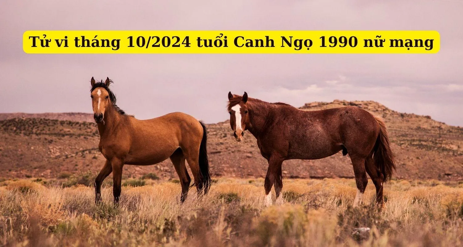 Tháng 10 năm 2024 (Âm lịch) của tuổi 1990 Canh Ngọ nữ mạng có gì cần chú ý?