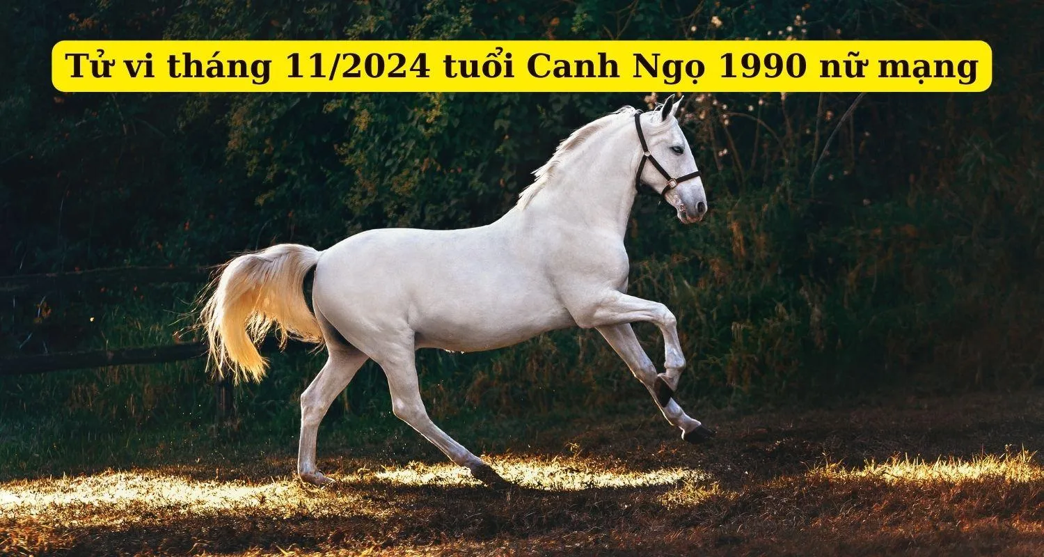 Tháng 11 năm 2024 (Âm lịch) của tuổi 1990 Canh Ngọ nữ mạng có gì cần chú ý?