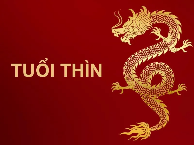 Vận niên Ngưu Hồi Sơn năm 2024 ảnh hưởng như thế nào đến cuộc sống tuổi Mậu Thìn 1988 nam mạng?