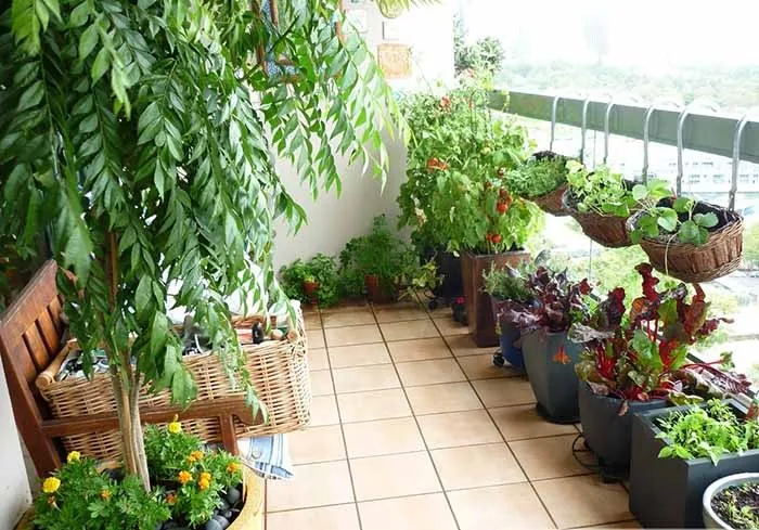 Bỏ túi 5 phương pháp chống nóng căn nhà trong mùa nắng "đổ lửa"