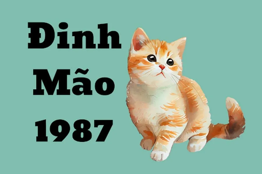 Người tuổi Đinh Mão 1987 nên đặt bàn làm việc hướng nào để công việc suôn sẻ?