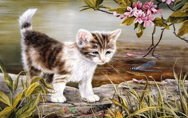 Nữ mạng Đinh Mão 1987 nên hợp tác làm ăn với tuổi nào để công việc thuận buồm xuôi gió?