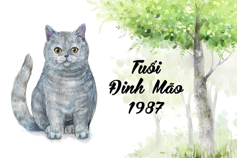Gia chủ nữ mạng Đinh Mão 1987 có nên động thổ làm nhà trong năm 2024 không?