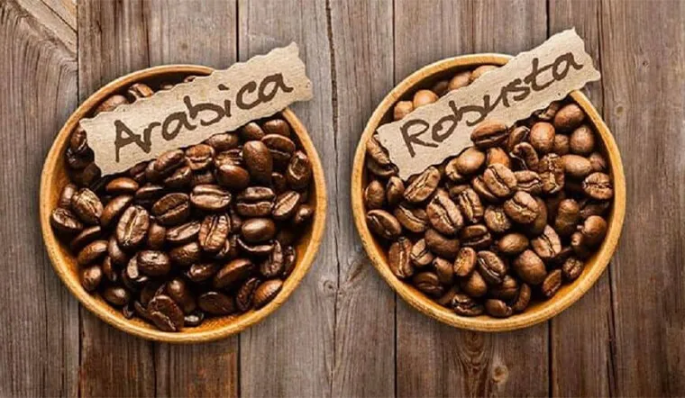 Chênh lệch giá cà phê nghiêng về phía Robusta phản ánh điều gì?