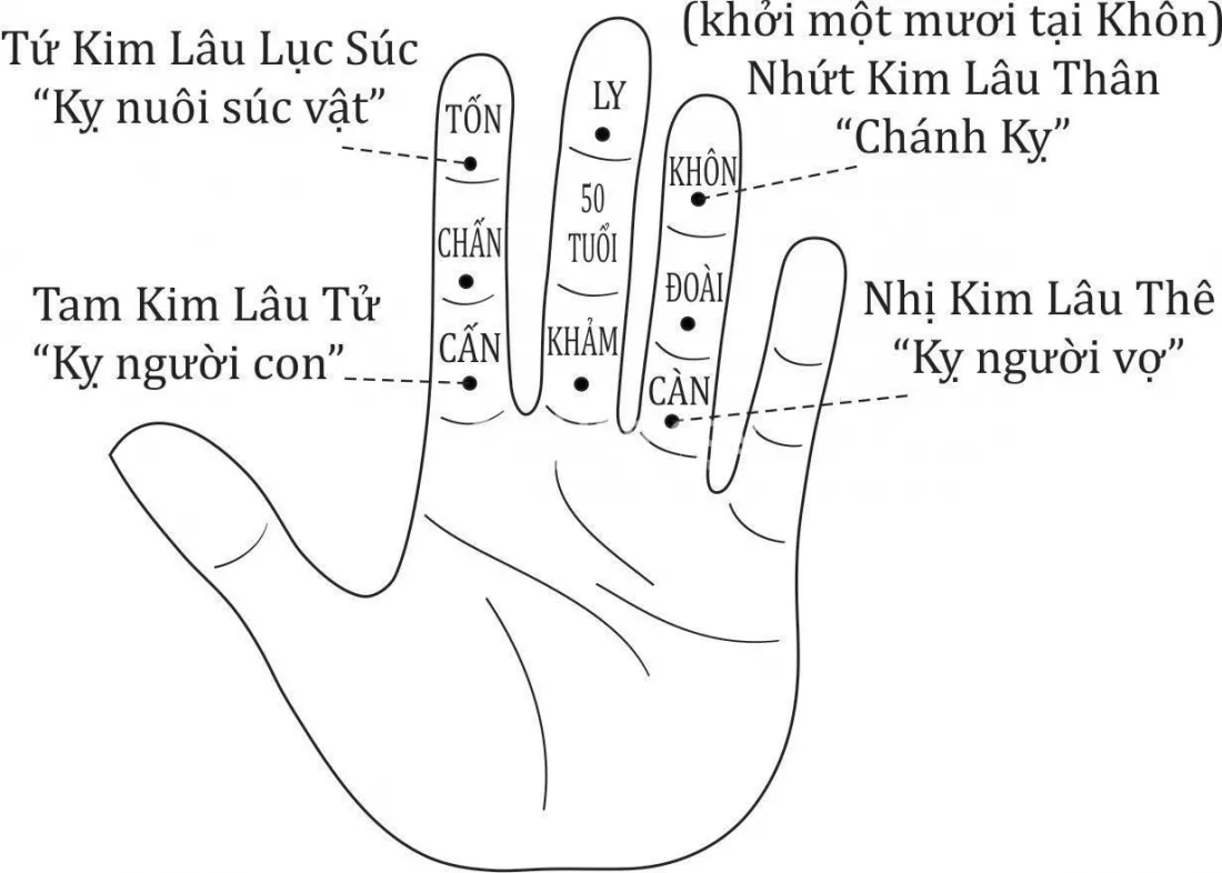 Năm 2025 tuổi nào phạm Kim Lâu?