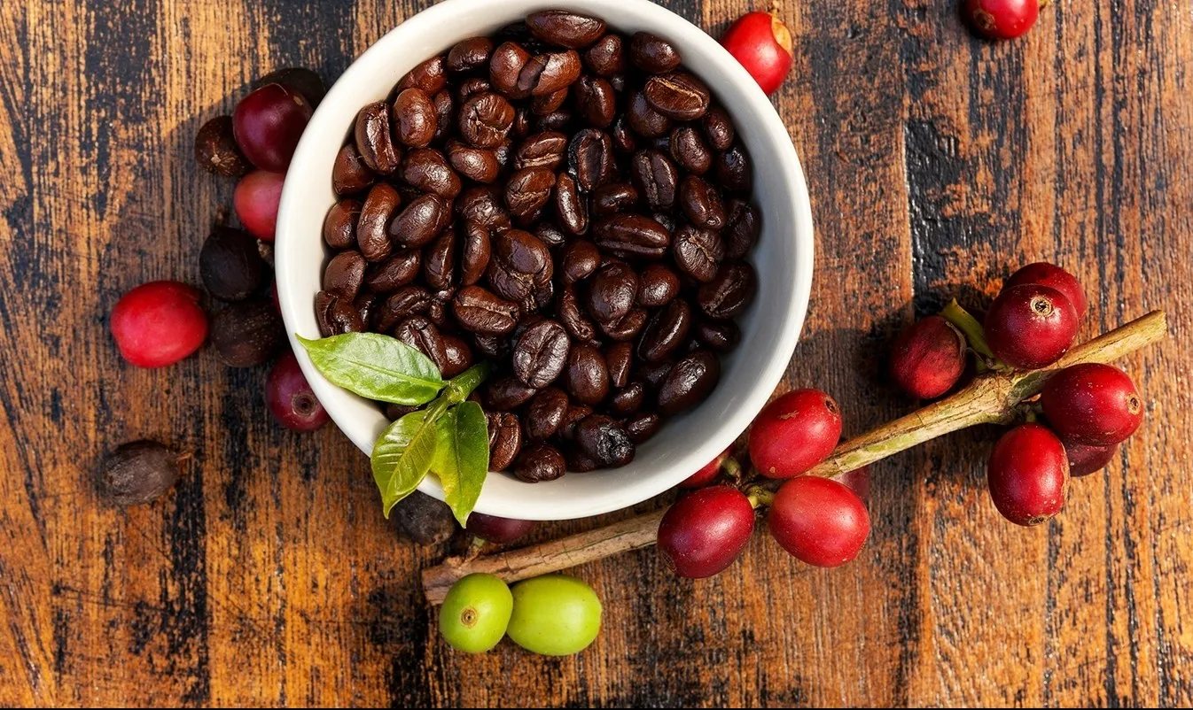 Mức ký quỹ giá cà phê Robusta liên kỳ hạn cập nhật tháng 6/2024 là bao nhiêu?