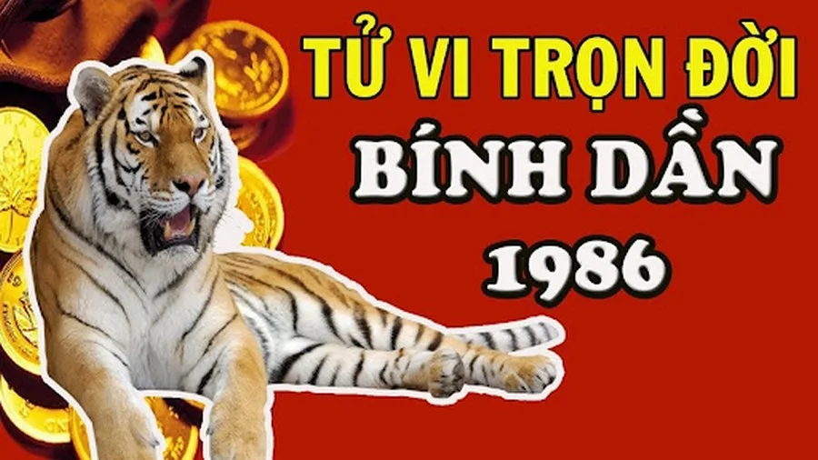 Ngày tốt tháng 9 năm 2024 để làm mọi việc thuận lợi, suôn sẻ cho người sinh năm 1986 Bính Dần