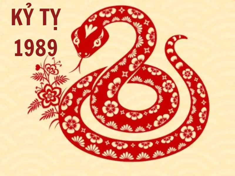 Vận trình tháng 8 năm 2025 của nam mạng tuổi Kỷ Tỵ 1989 như nào?