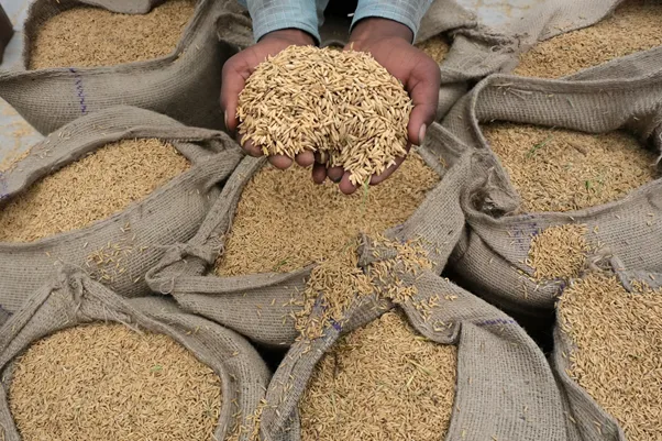 Các thông số trong hợp đồng giao dịch gạo thô được quy định như thế nào?