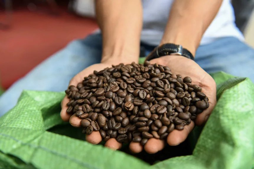 Cách tính giá cà phê Robusta sàn London như thế nào?
