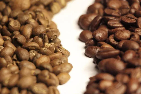 Chất lượng ảnh hưởng tới sự khác biệt về giá cà phê Arabica và Robusta như thế nào?