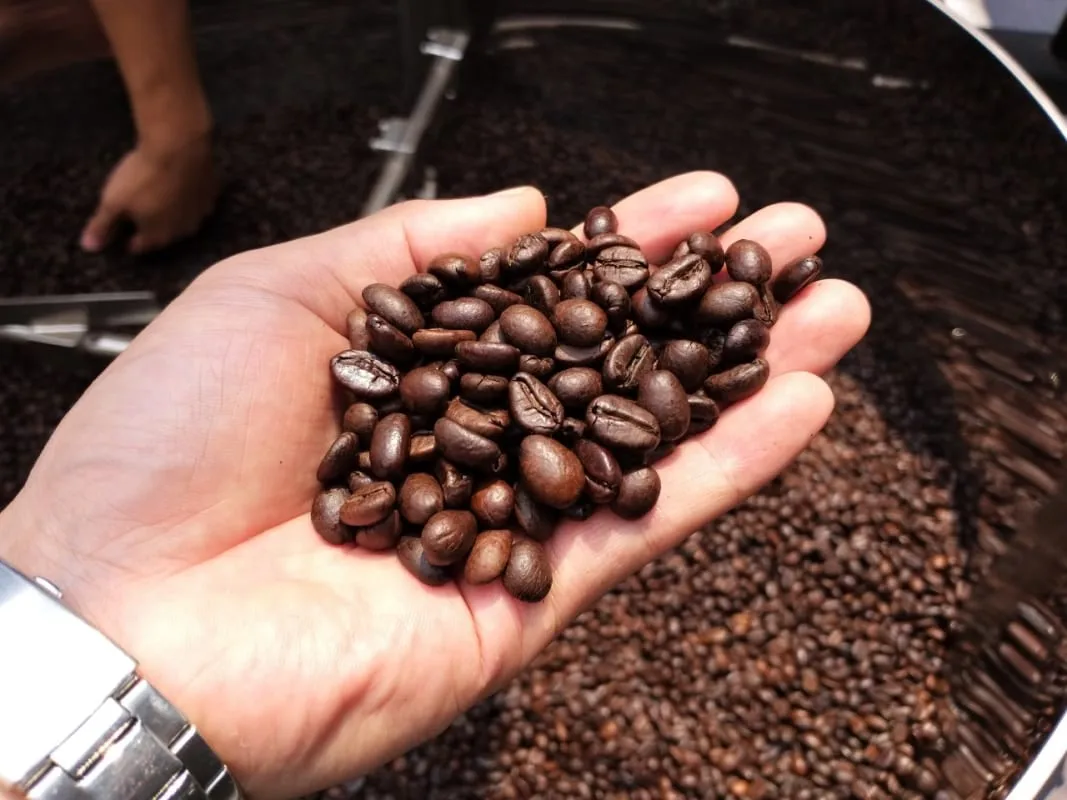 Ngoại hối ảnh hưởng như thế nào tới giá cà phê tại quốc gia tiêu thụ?