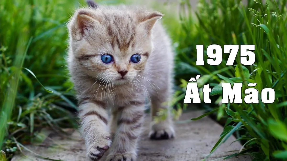 Tuổi Ất Mão 1975 cần chú ý điều gì vào năm 50 - 60 tuổi?
