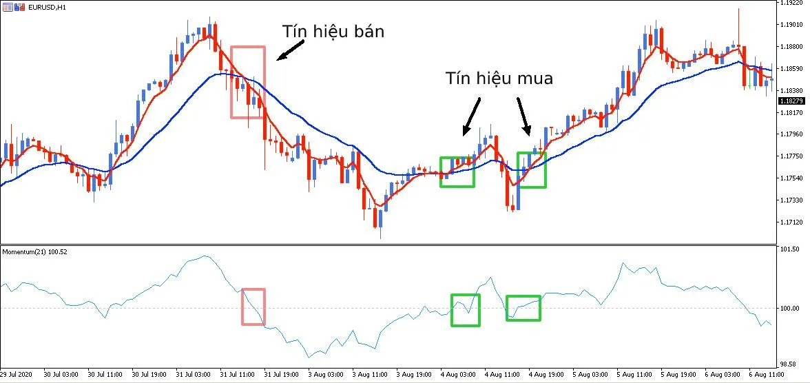 Chỉ báo Momentum và cách sử dụng hiệu quả trong đầu tư chứng khoán