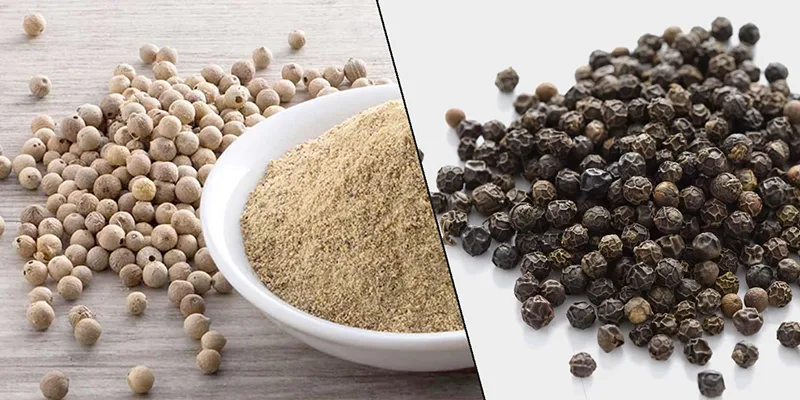 Điểm khác nhau về chất lượng và giá tiêu của hai giống Tiêu Đen và Tiêu Trắng Việt Nam là gì?