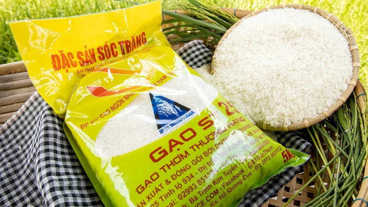 Có những loại gạo nào phổ biến? Loại gạo nào có giá bán đắt nhất?