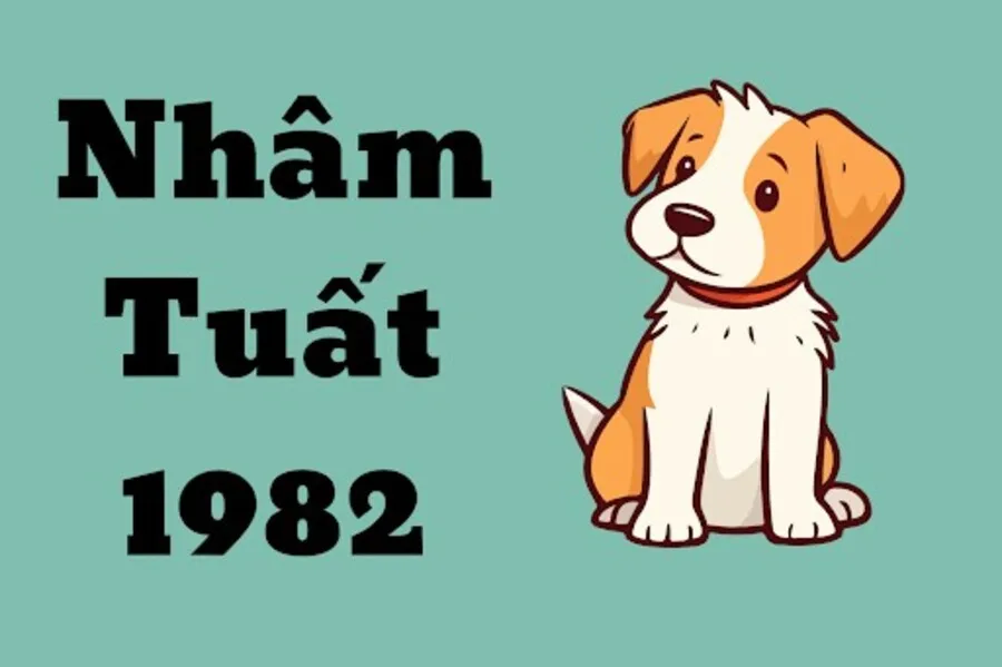 Có gì nổi bật ở giai đoạn từ 51 - 60 tuổi của nữ mạng tuổi Nhâm Tuất 1982?
