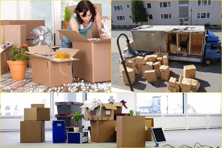 Ngày tốt tháng 10 năm 2024 để làm mọi việc thuận lợi, suôn sẻ cho người sinh năm 1985 Ất Sửu