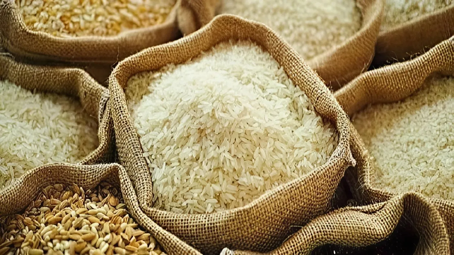 Có những sàn giao dịch cổ phiếu uy tín nào cho nhà đầu tư vào thị trường ngành gạo?