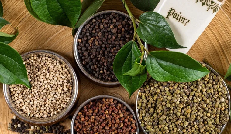 Thị phần hồ tiêu Việt Nam chiếm bao nhiêu phần trăm trên thị trường hồ tiêu thế giới?