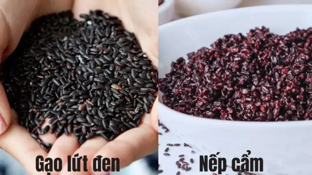 Gạo lứt đen hay gạo nếp cẩm tốt hơn?
