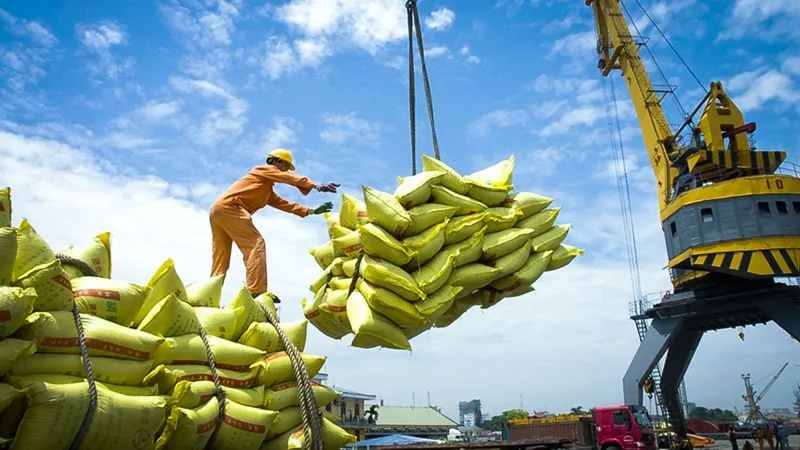 Việt Nam xuất khẩu gạo từ năm nào?