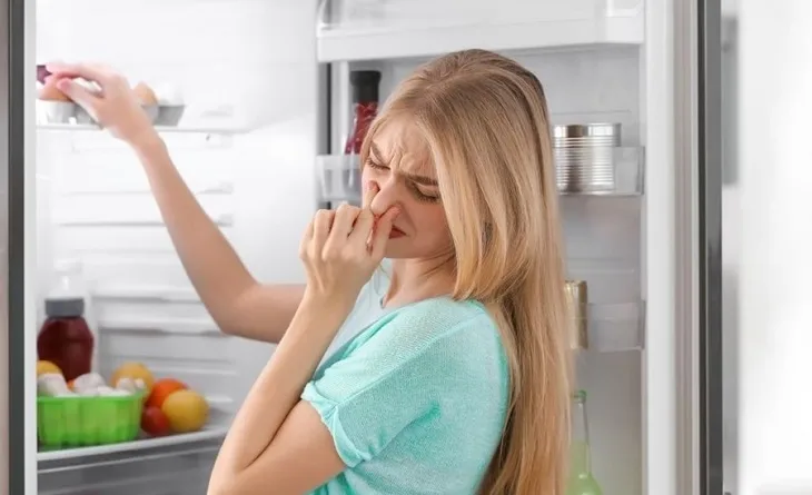 Tủ lạnh có mùi hôi là do đâu?