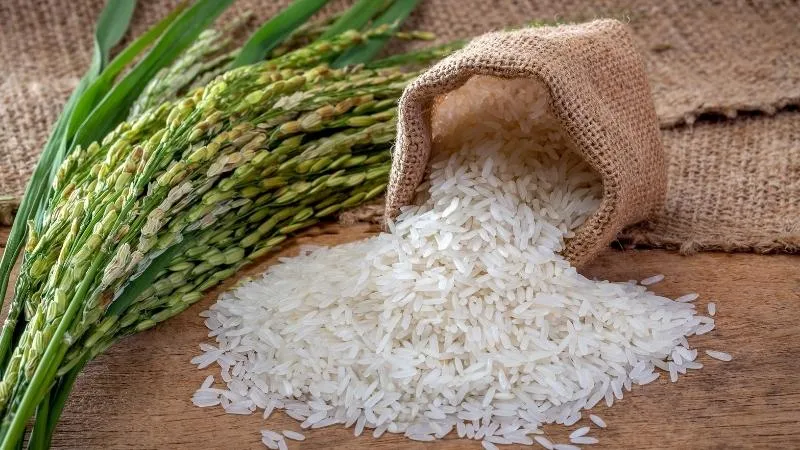 Tại sao gạo hữu cơ có giá đắt hơn các loại gạo thông thường?	