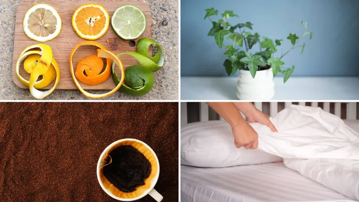 Làm sao để loại bỏ mùi hôi trong phòng máy lạnh?