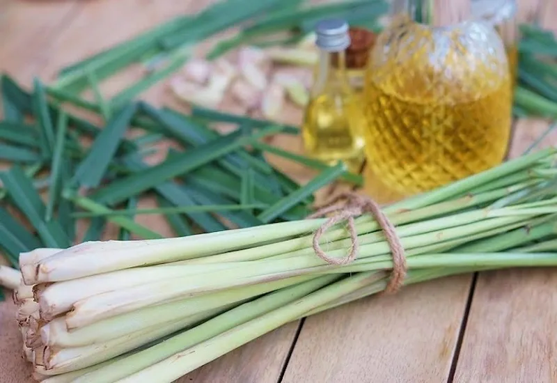 Loại bỏ mùi hôi phòng kín bằng sả như nào?