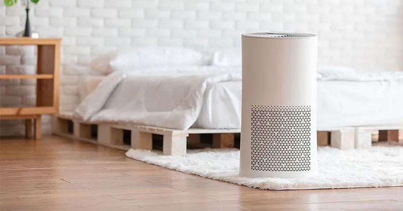 Máy lọc không khí có khử được mùi hôi phòng không?