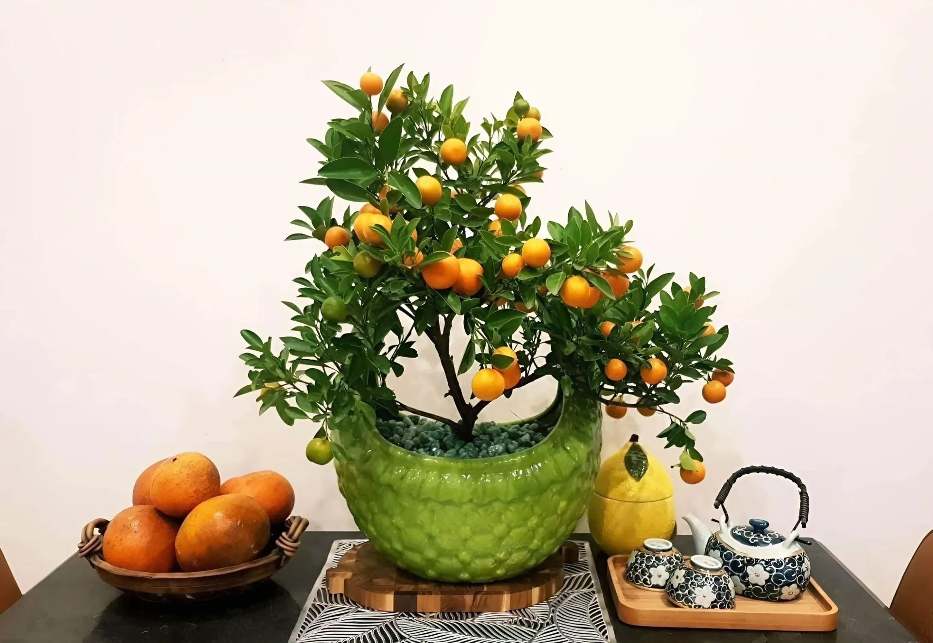 Loại cây nào trồng trong nhà vừa có thể làm kiểng, làm thuốc, lại vừa làm thực phẩm?