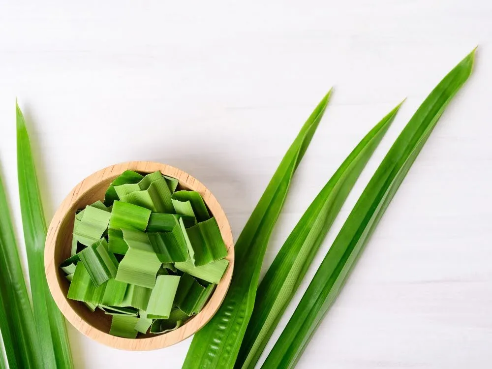 Khử mùi hôi trong phòng bằng lá dứa có hiệu quả không?