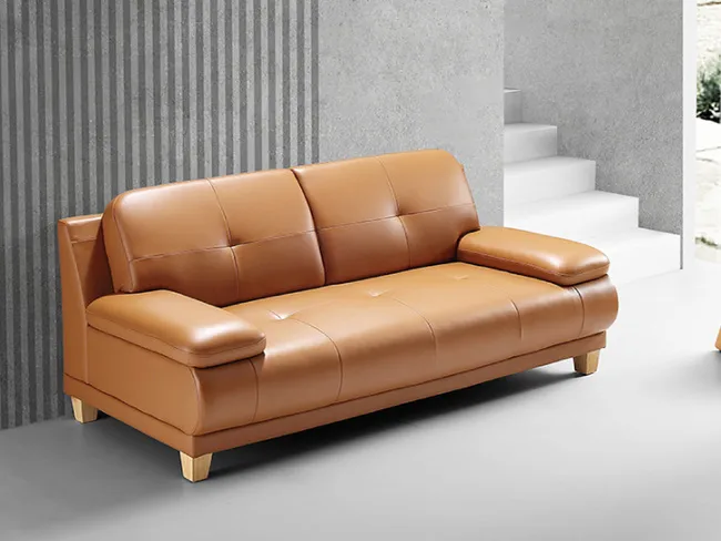 Sofa nào phù hợp cho những gia đình nuôi thú cưng?