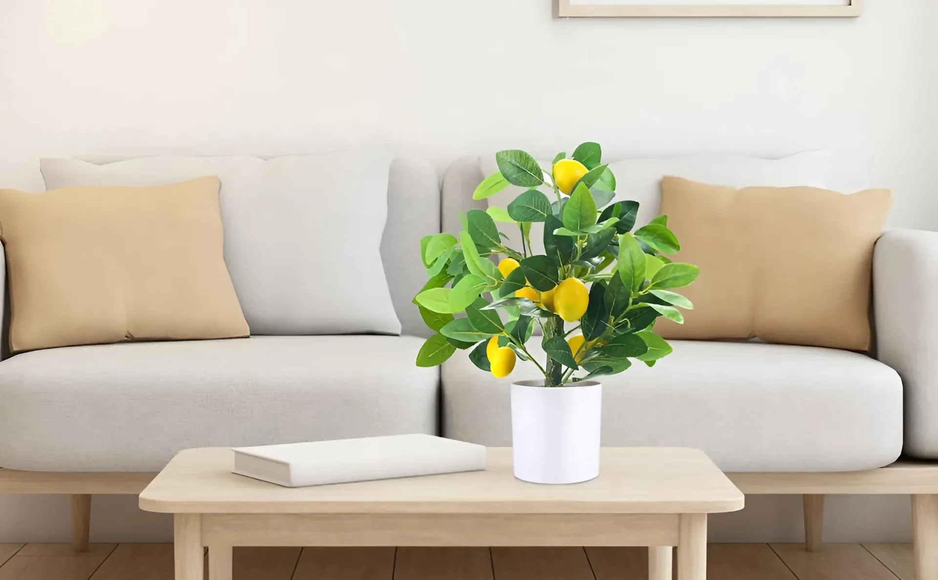 Có những loại cây ăn quả nào dễ chăm sóc có thể trồng trong nhà?