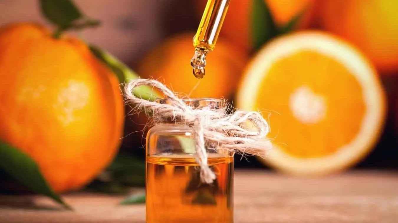 Làm thế nào để hạn chế kệ tủ tivi bị tình trạng mối mọt?