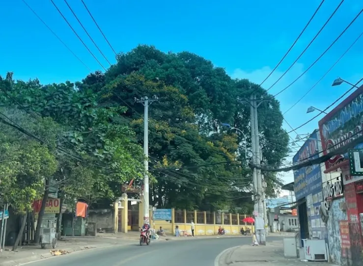 Cập nhật bảng giá đất nhà nước ban hành phường Tam Phú TP. Thủ Đức mới nhất