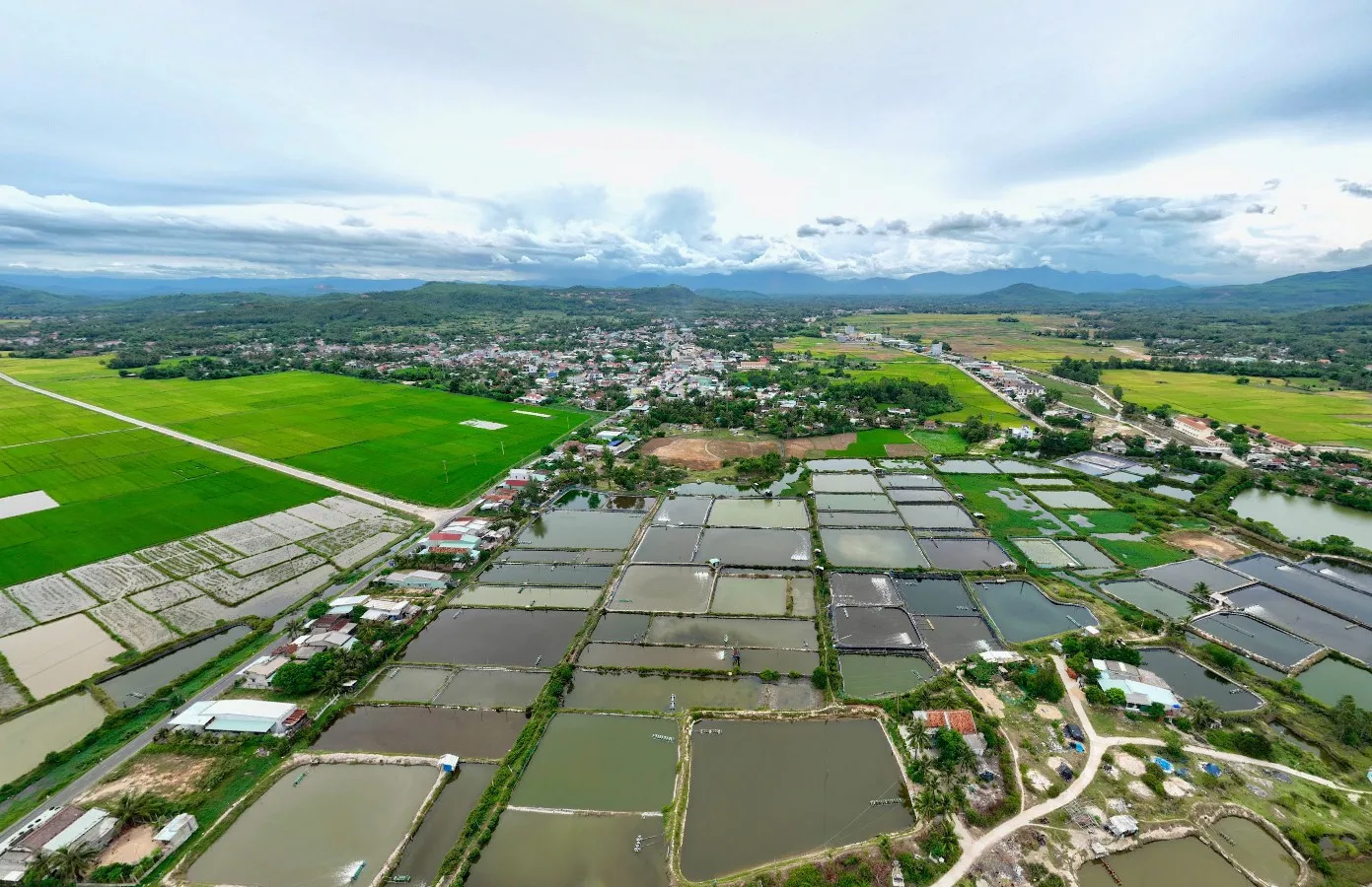 Cập nhật bản đồ quy hoạch huyện Phù Mỹ Bình Định mới nhất