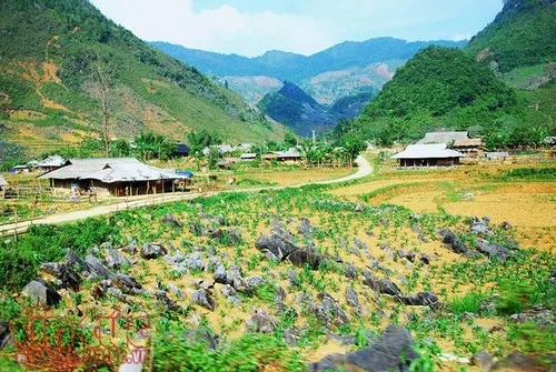 Cập nhật bản đồ quy hoạch huyện Tủa Chùa Điện Biên mới nhất