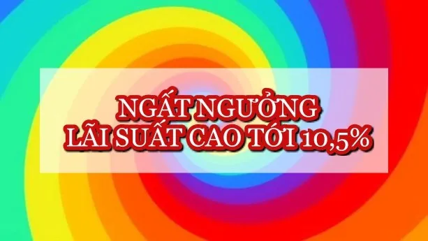 Lãi suất ngân hàng hôm nay 6.11: Lãi suất cao nhất lên tới 10,5%