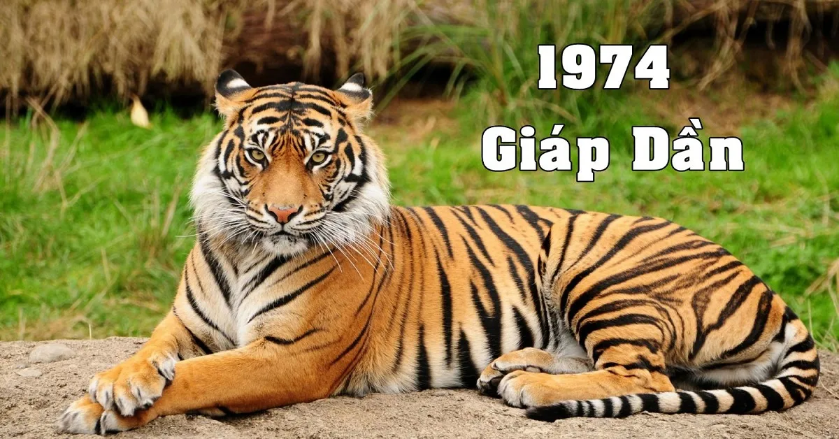 Tuổi Giáp Dần 1974 nên hợp tác làm ăn với tuổi nào trong năm 2025 để thành công lớn?