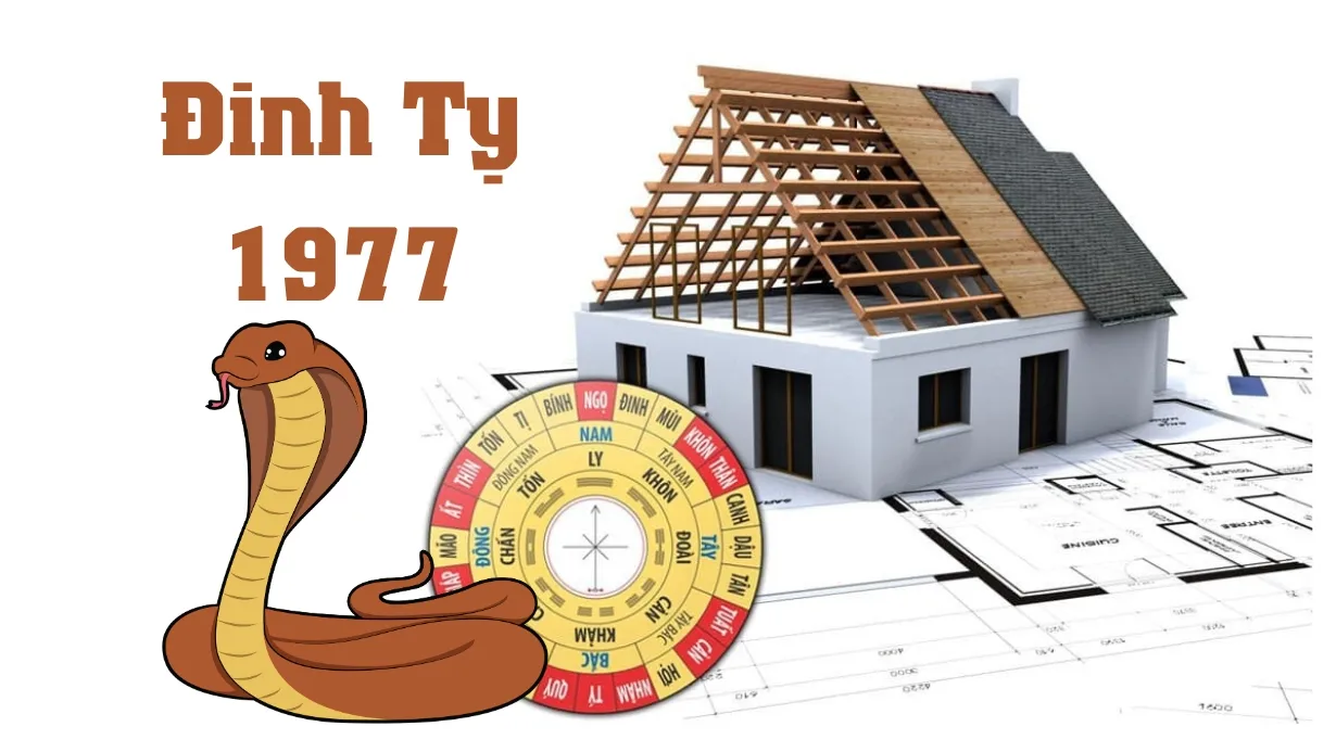 Tuổi Đinh Tỵ 1977 có gặp hạn Kim Lâu, Hoang Ốc, Tam Tai trong năm 2025 không?