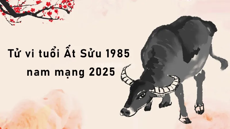Tuổi Ất Sửu 1985 sao nào chiếu mệnh trong năm 2025?