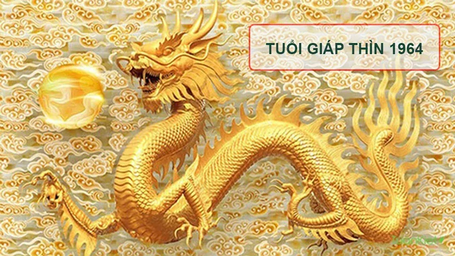 Tuổi Giáp Thìn 1964 nên hợp tác làm ăn với tuổi nào trong năm 2025 để thành công lớn?