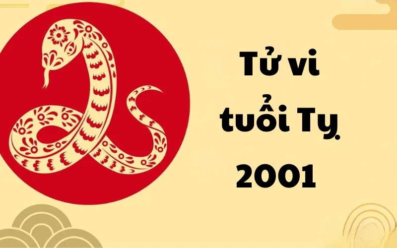 Tuổi Tân Tỵ 2001 nên hợp tác làm ăn với tuổi nào trong năm 2025 để thành công lớn?