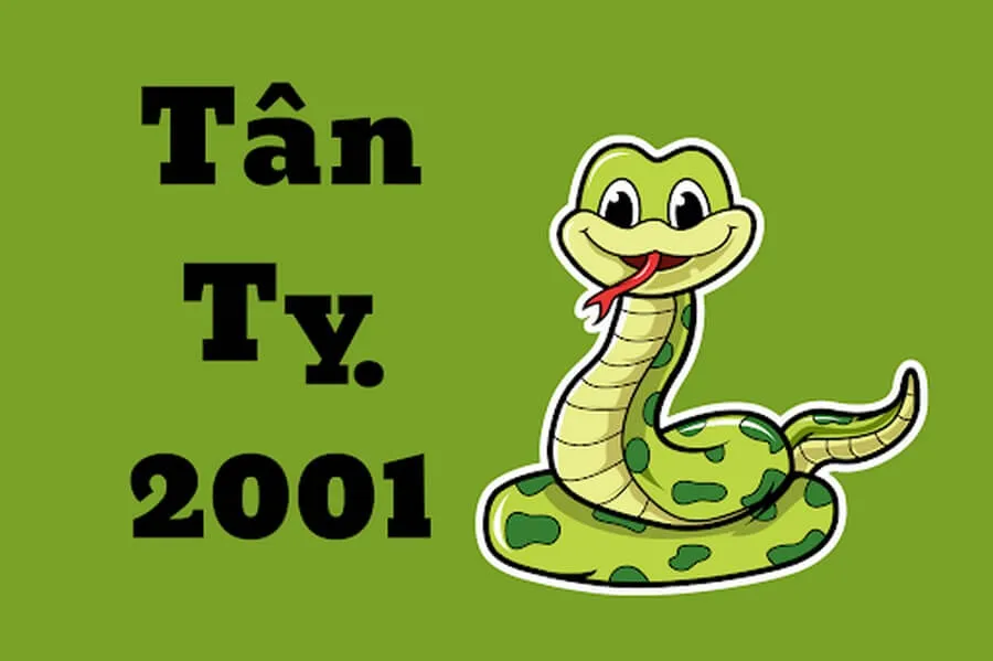 Tuổi Tân Tỵ 2001 sao nào chiếu mệnh trong năm 2025?