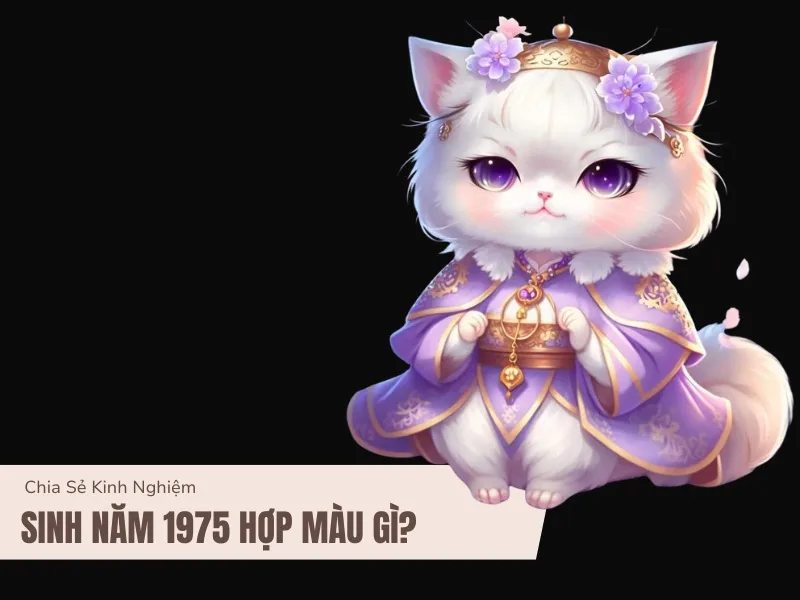 Tuổi Ất Mão 1975 hợp màu gì, kỵ màu gì nhất?
