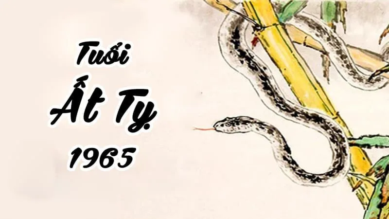 Xem tử vi tuổi Ất Tỵ 1965 - Nam mạng năm 2025 chi tiết nhất