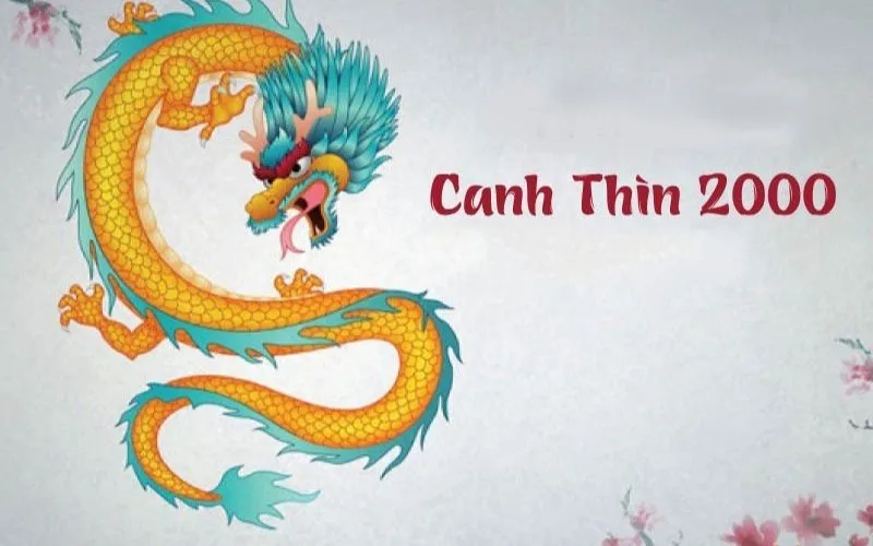 Xem tử vi tuổi Canh Thìn 2000 - Nam mạng năm 2025 CHI TIẾT NHẤT